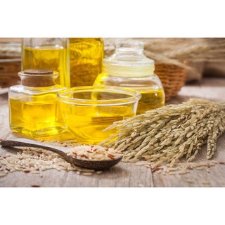 Dầu Cám Gạo ( Rice Bran Oil )