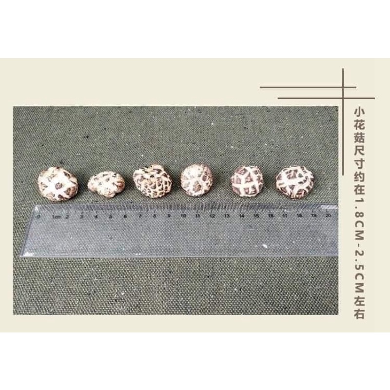 NẤM ĐÔNG CÔ MINI - BỊCH 500g