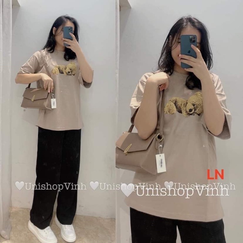 Áo phông gấu vàng nằm DA6