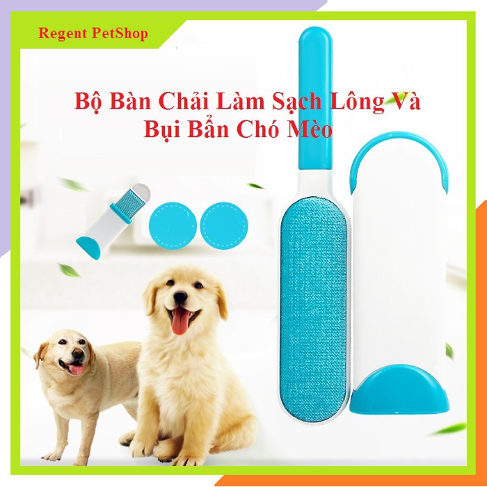 Cây làm sạch lông chó mèo