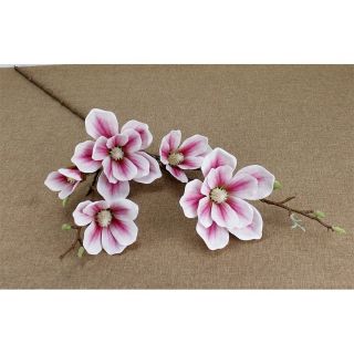 Mộc lan cao su 5 bông cành dài 100cm