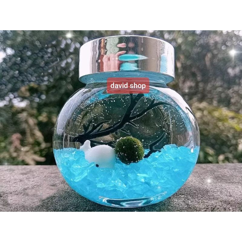 Combo lọ tròn marimo phụ kiện trang trí