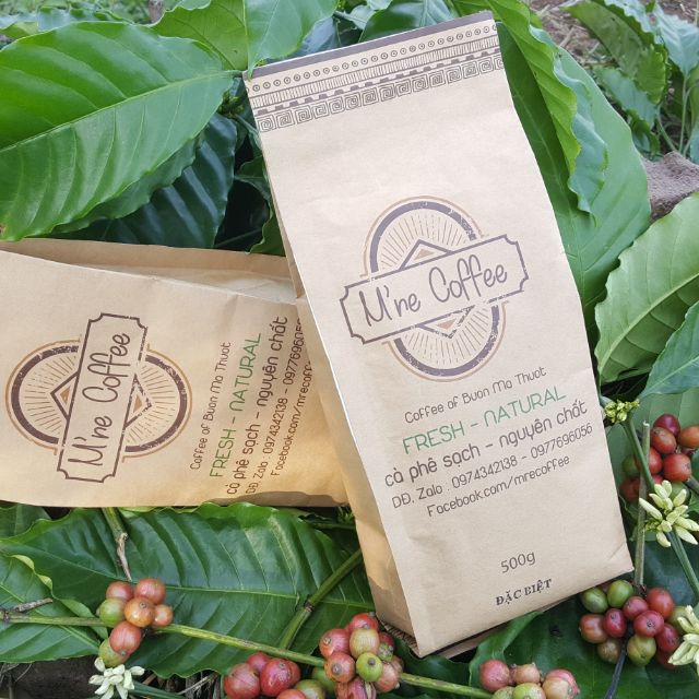 Combo 3 kg cà phê hạt nguyên chất Robusta rang bơ