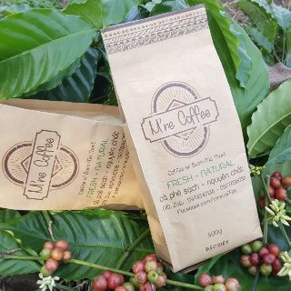 Combo 3 kg cà phê hạt nguyên chất Robusta rang bơ