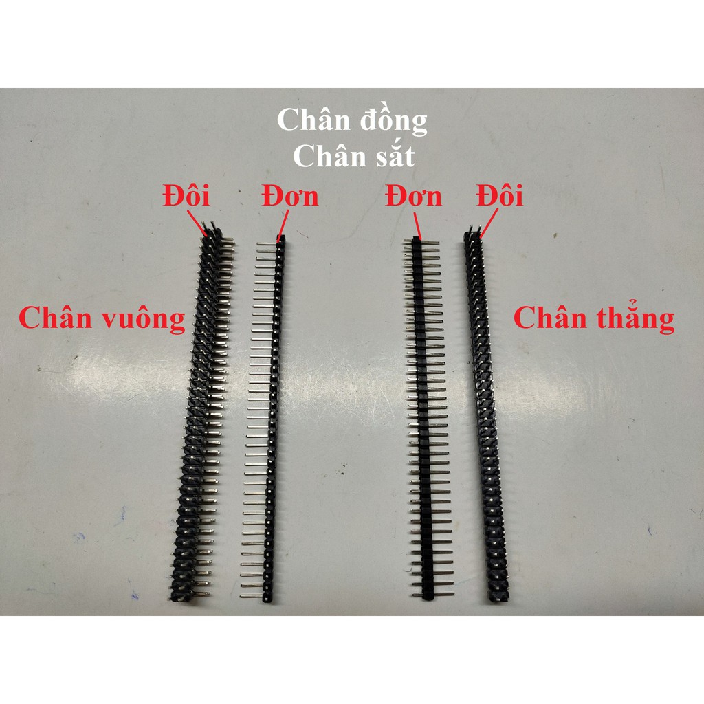 Hàng rào đực 40p 2.54mm