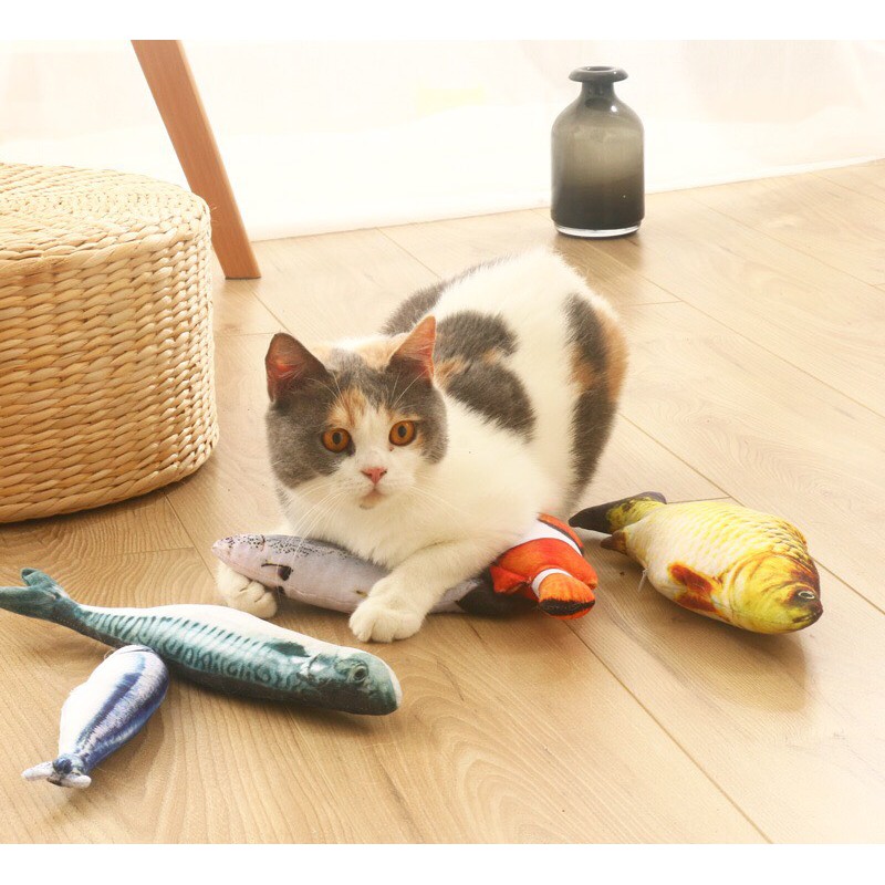 Cá catnip nhồi bông đồ chơi cho mèo