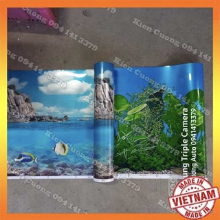 Tranh bể cá cảnh cao 40cm 50cm