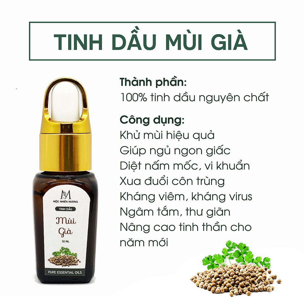 Tinh dầu mùi già nguyên chất Mộc Nhiên Hương (10ml/50ml) giúp thông hơi, giải cảm, thư giãn, diệt khuẩn, đuổi muỗi