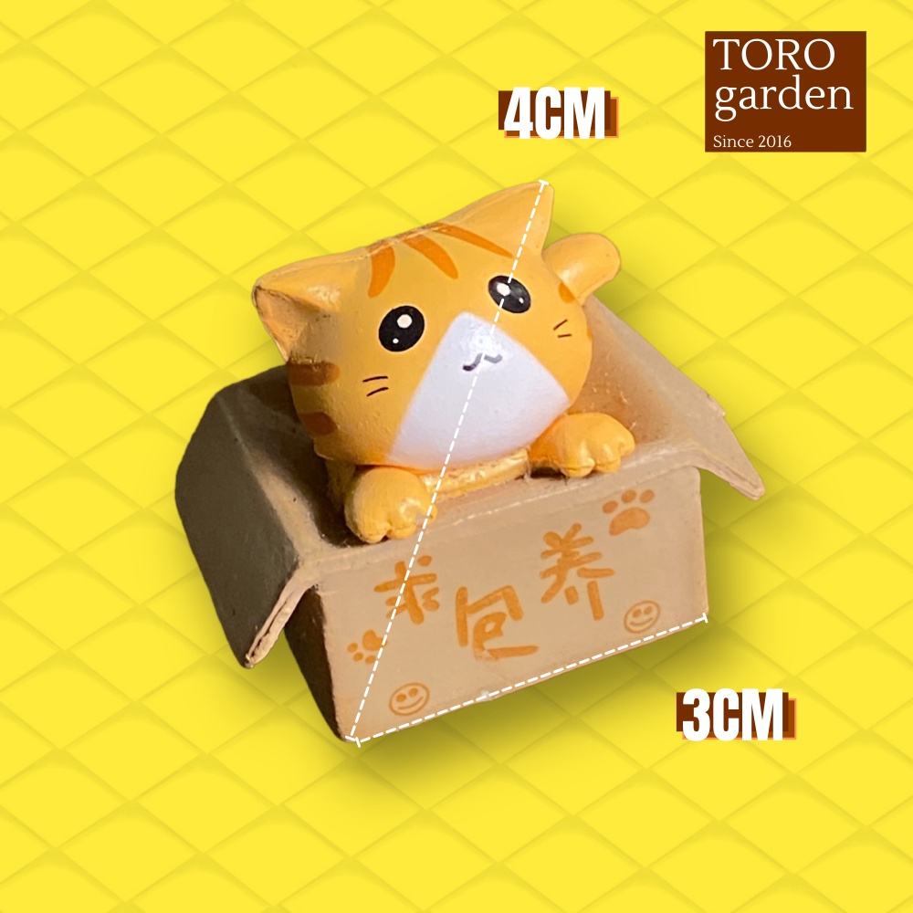 Phụ kiện mèo ngồi trong hộp Toro garden siêu cute