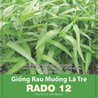 Hạt giống rau muống lá tre RẠNG ĐÔNG chịu nhiệt dễ trồng năng suất cao gói 50gram