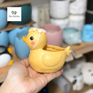 Chậu vịt vàng trồng cây lá may mắn xương rồng sen đá Nia Garden N4
