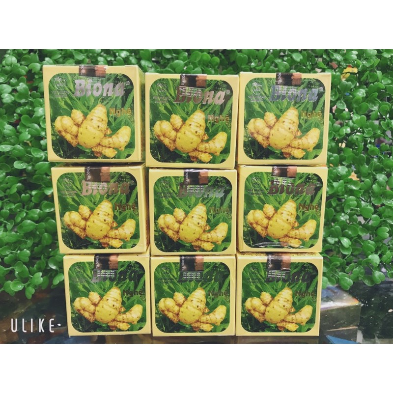 COMBO 3 HỘP KEM NGHỆ  BIONA