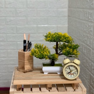 Kệ gỗ PALLET trang trí / size M