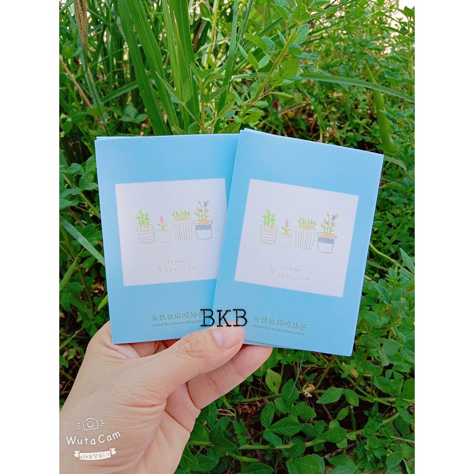 GIẤY THẤM DẦU (mới về nhiều) | BigBuy360 - bigbuy360.vn