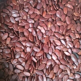 Combo hạt bí và hạt dưa đặc biệt