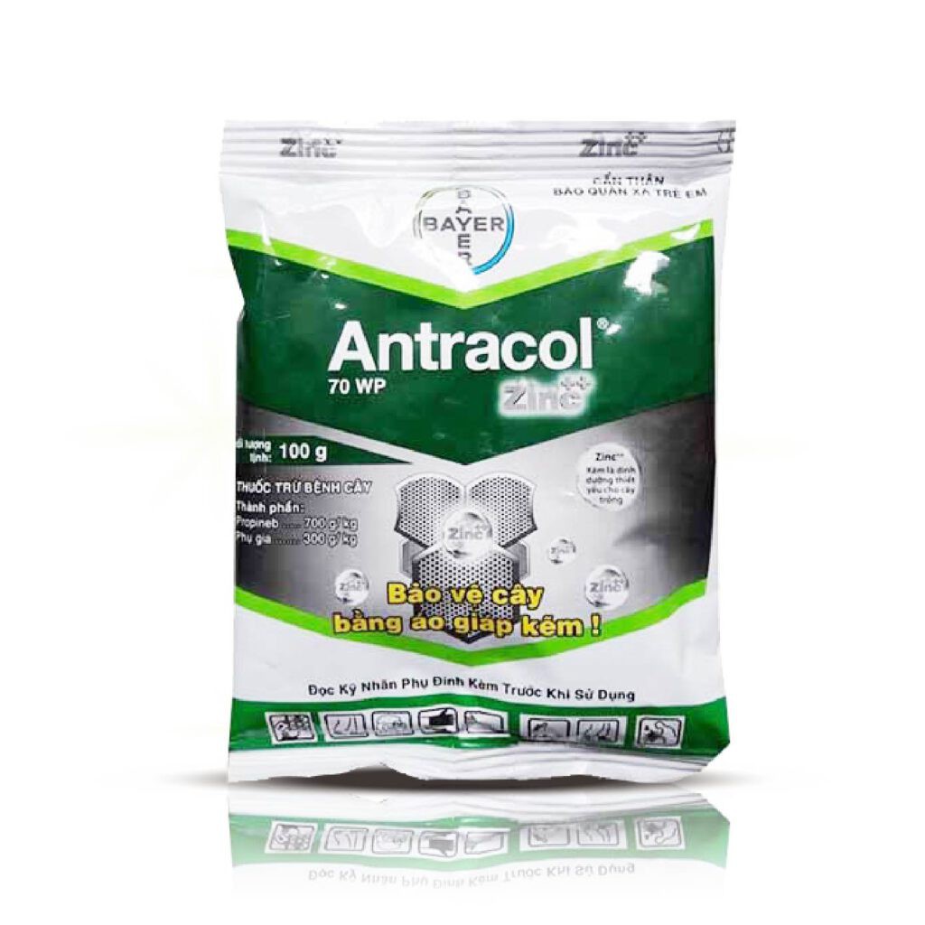 Antracol 70wp - Trị nấm bệnh cho cây trồng - gói 100g