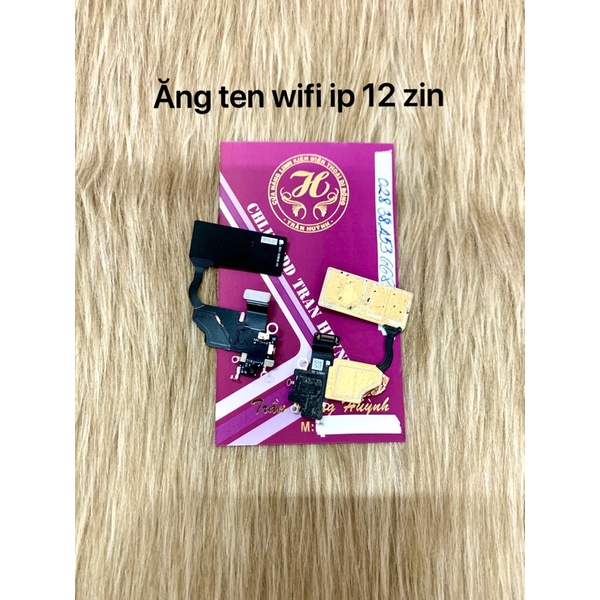 dây wifi 12/dây ăng ten 12 zin