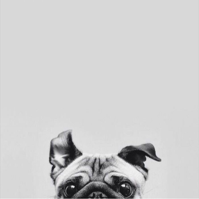 purplesun1.vn, Cửa hàng trực tuyến | BigBuy360 - bigbuy360.vn