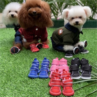 [KHUYẾN MÃI ĐẶC BIỆT MỪNG HẾT DỊCH COVID] GIẦY CONVERSE CHO CÚN MÈO