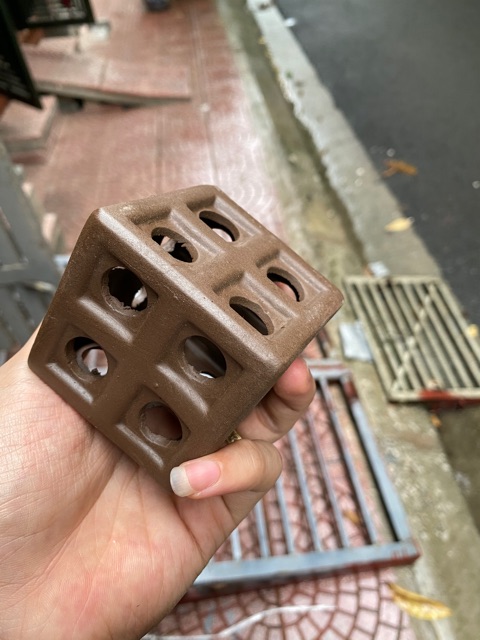 Hình lập phương đồ chơi tép cảnh và cá cảnh