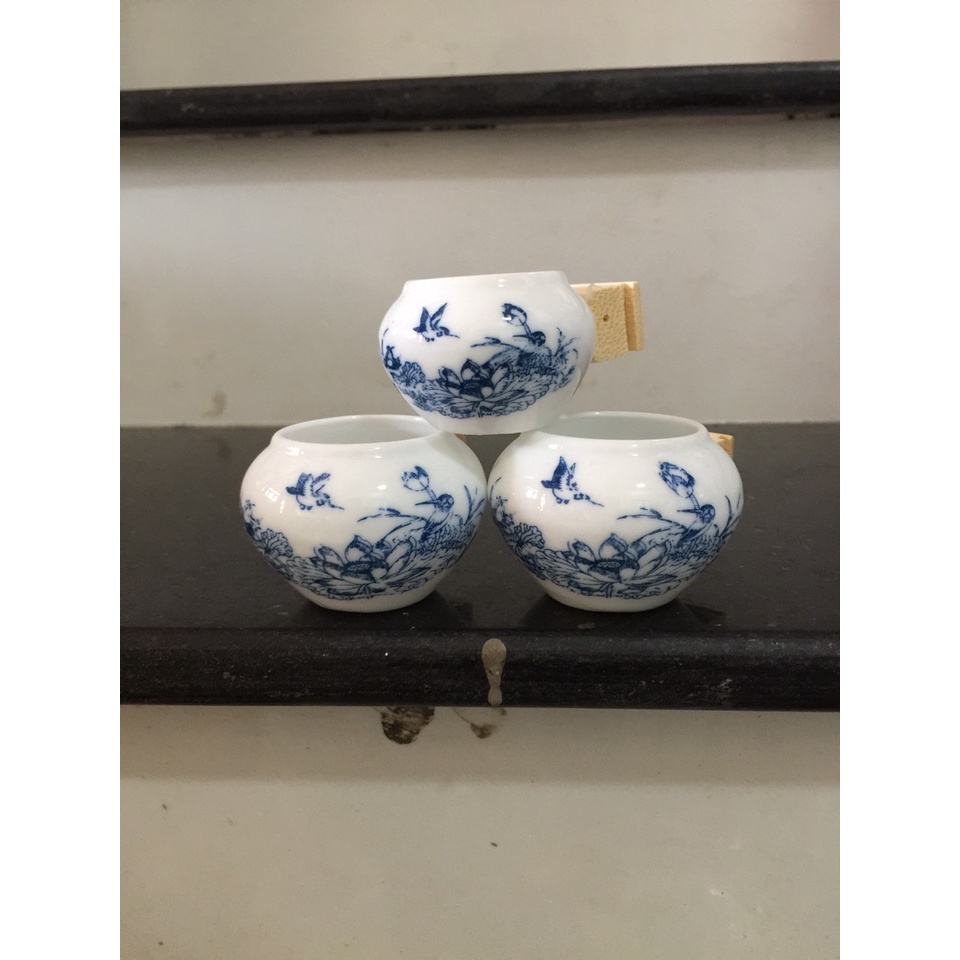 Cóng chim chào mào, chòe than, chòe lửa, my, cóng chim rẻ đẹp G&G