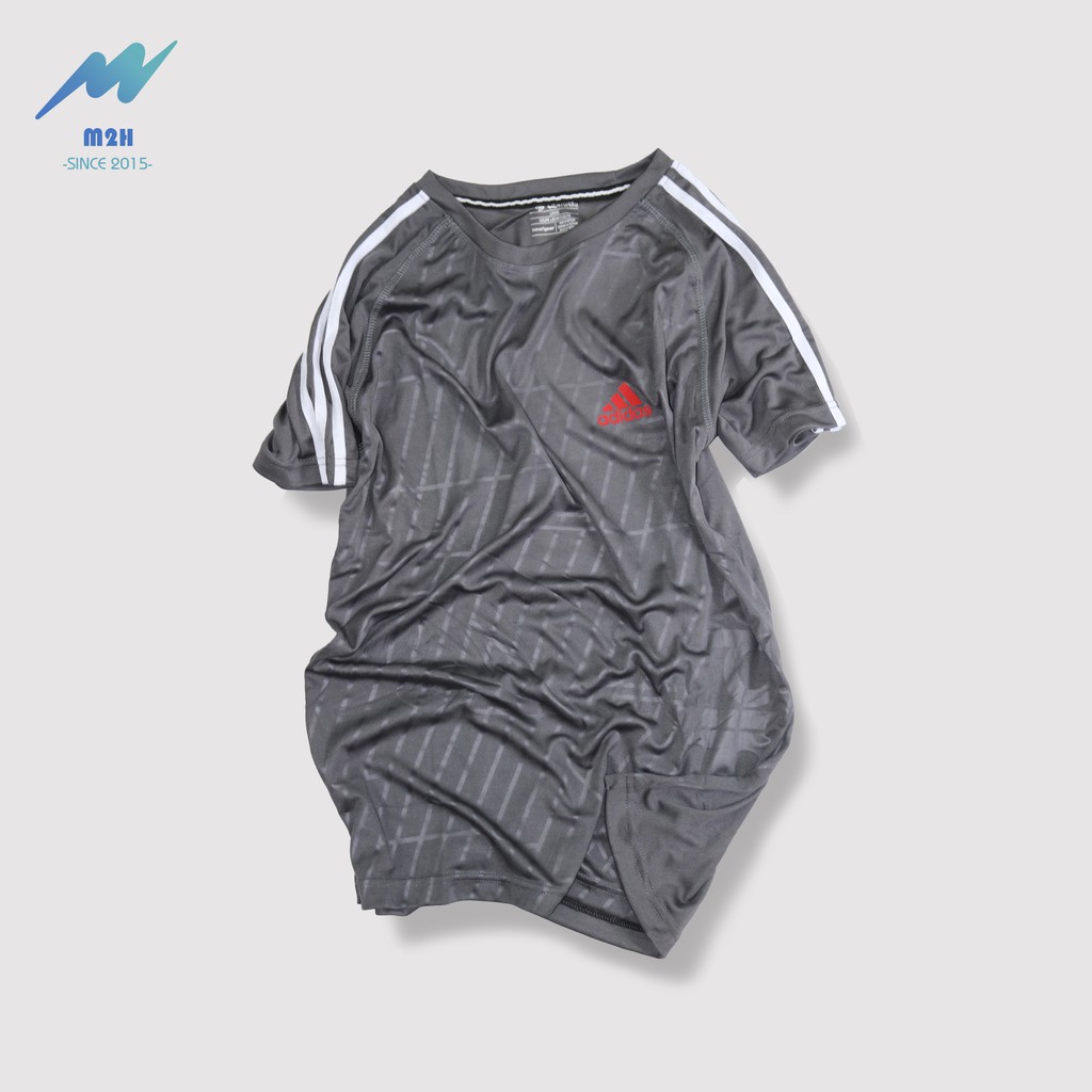 Áo Thun Nam Thể Thao Cổ Tròn Họa Tiết 3D Sành Điệu, ôm Body, Áo Tập Gym, Vải Thun Cotton Lạnh Co Giãn-AN202