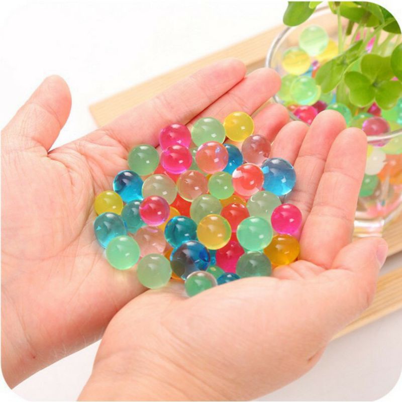 Gói 100 hạt nở slime dùng trồng cây trang trí lọ hoa