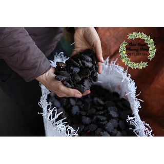Hạt gấc sấy khô - 500gr