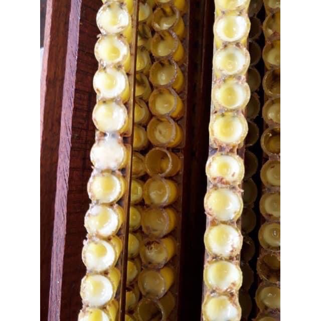 Sữa Ong chúa tươi HBee tự nhiên nguyên chất 100% không pha tạp ( Tặng cọ ) Lọ nhỏ | BigBuy360 - bigbuy360.vn