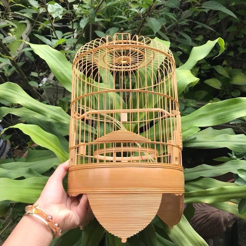 LỒNG KHUYÊN DŨI CHỈ HÀNG ĐẸP