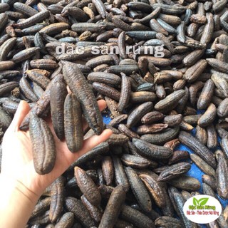 1kg Chuối Hột rừng Tây bắc Nguyên Quả - Cam kết hàng chuẩn y hình