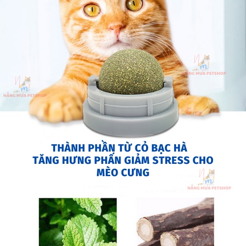 Catnip, cỏ mèo dán tường, đồ chơi cho mèo xoay tròn