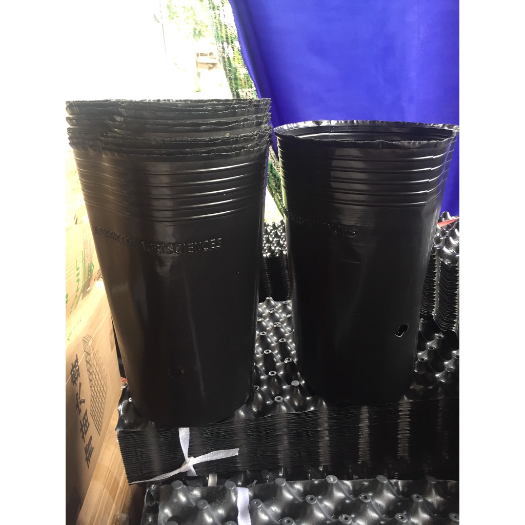 1 KG BẦU ƯƠM C20 (DỊCH TRUYỀN CHO CÂY, BẠT CHỐNG CỎ, KEO RUỒI VÀNG...)