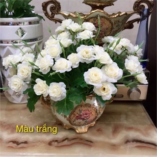 🌠chùm hoa hồng ngâu 5 màu
