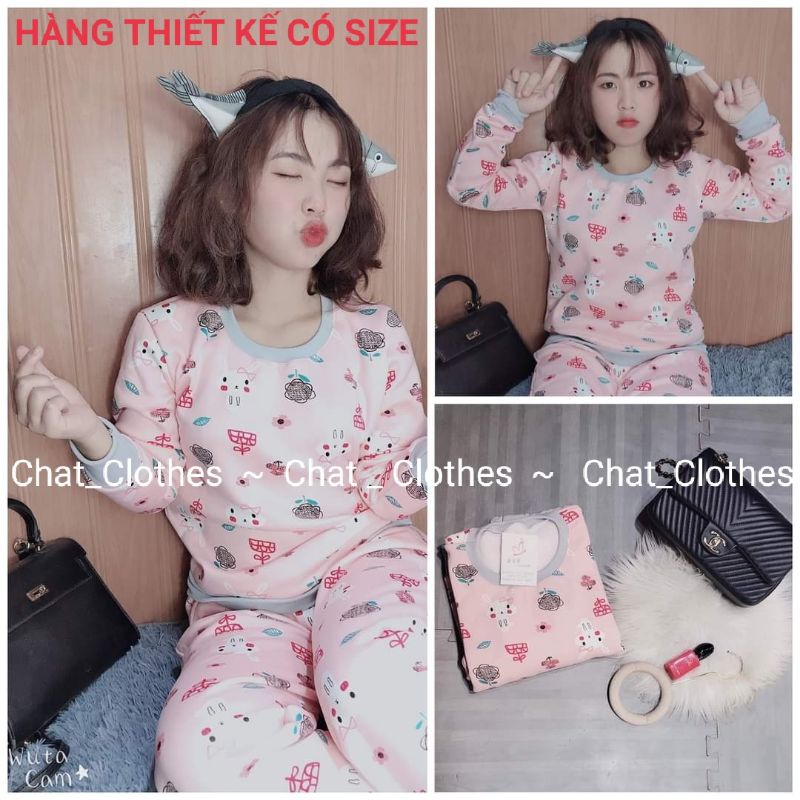 BỘ NỈ BÔNG CAO CẤP ẢNH THẬT hàng thiết kế có size