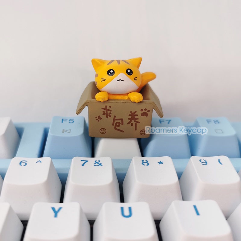 Keycap lẻ mèo giận hờn ngầu R4 PBT (0010_CH)