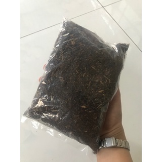caykiengsadec_Cây cần thăng kiểng tặng phân bón cho cây