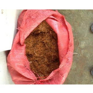 MÙN XƠ DỪA(DỪA NGHIỀN)