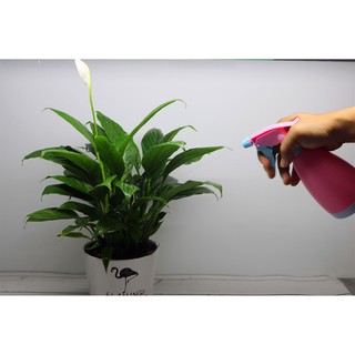 Bình Xịt Cầm Tay 500ml