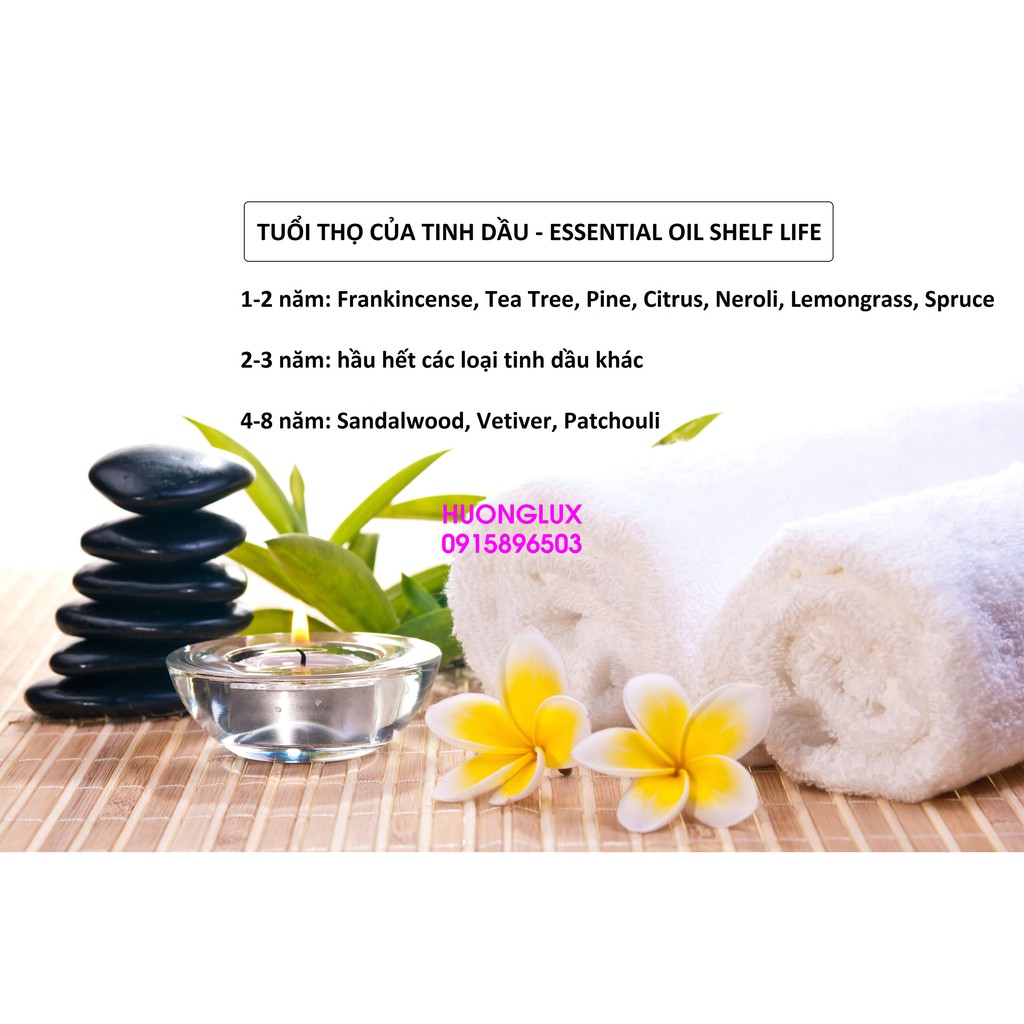 Tinh dầu Hoàng đàn Thuja Cedarwood Essential Oil