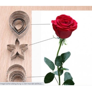 KHUÔN CẮT HOA HỒNG LÀM HOA BẰNG ĐẤT SÉT NGUYÊN BỘ