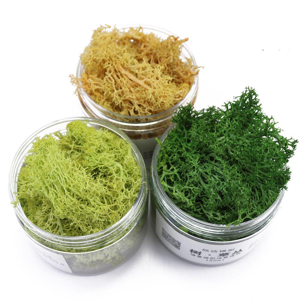 Cây Cỏ Nhân Tạo Trang Trí Bàn Cát DIY