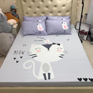 BỘ GA GỐI COTTON POLY 5D - MÈO GHI