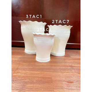 chậu nhựa lục bình