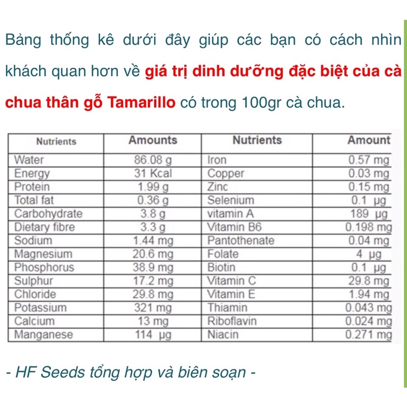 1 KG CÀ CHUA THÂN GỖ