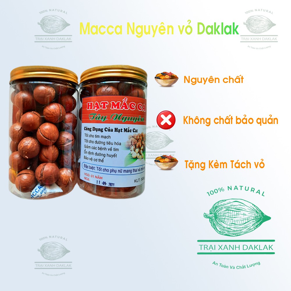 Hạt Macca Đắc Lắc Đã Sấy Khô nứt vỏ - tặng kèm đồ khui - giống hạt nhập từ Úc cao cấp - Hộp 500g