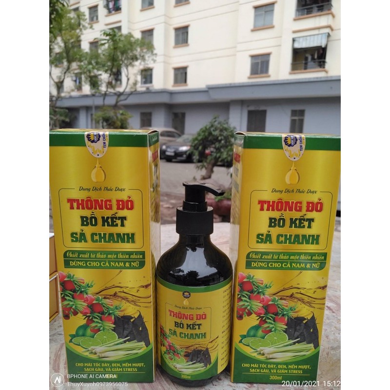 Dầu Gội Thông Đỏ Bồ Kết Sả Chanh 300ml
