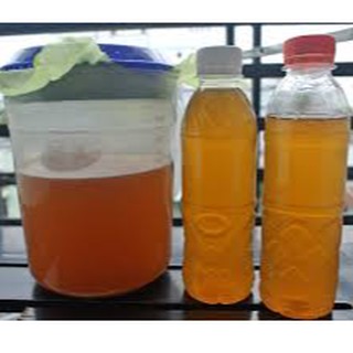 DẤM TÁO MÈO HỮU CƠ CÓ CON DẤM CÁI 1000ML - THƠM LỪNG