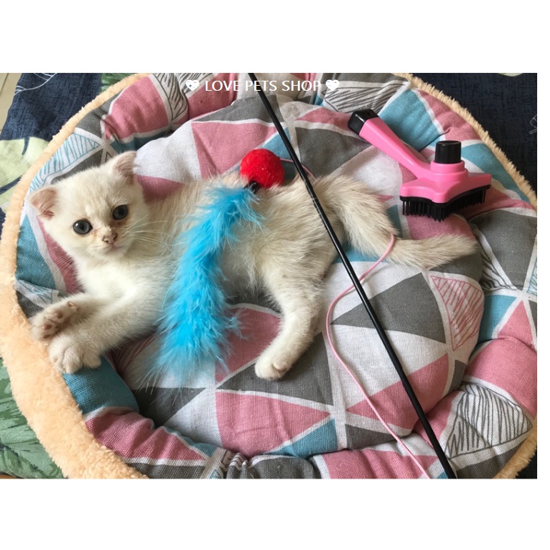 NỆM NẰM CHO CHÓ MÈO, ĐỆM TRÒN LÓT LÔNG BỌC VẢI VIỀN - LOVE PETS SHOP