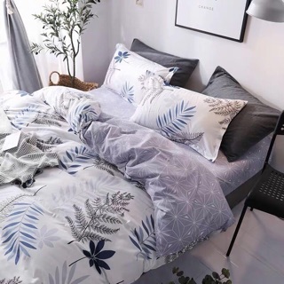 Bộ chăn ga gối Cotton Poly